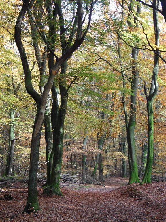 Hof Van Putten Exteriér fotografie